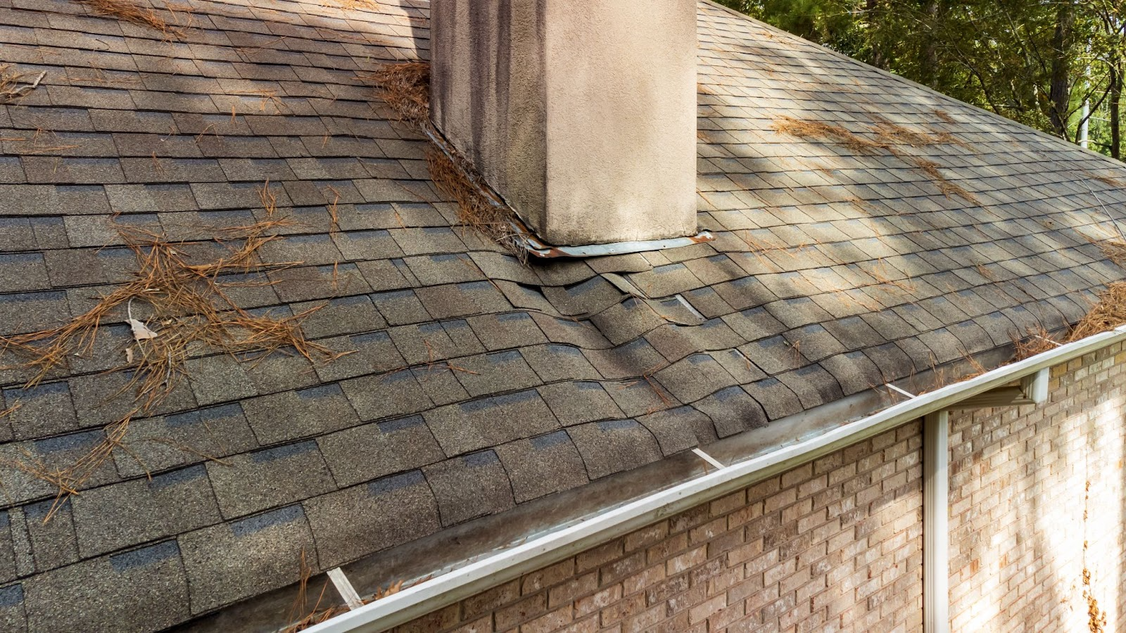 Identifying Signs of Roof Damage
